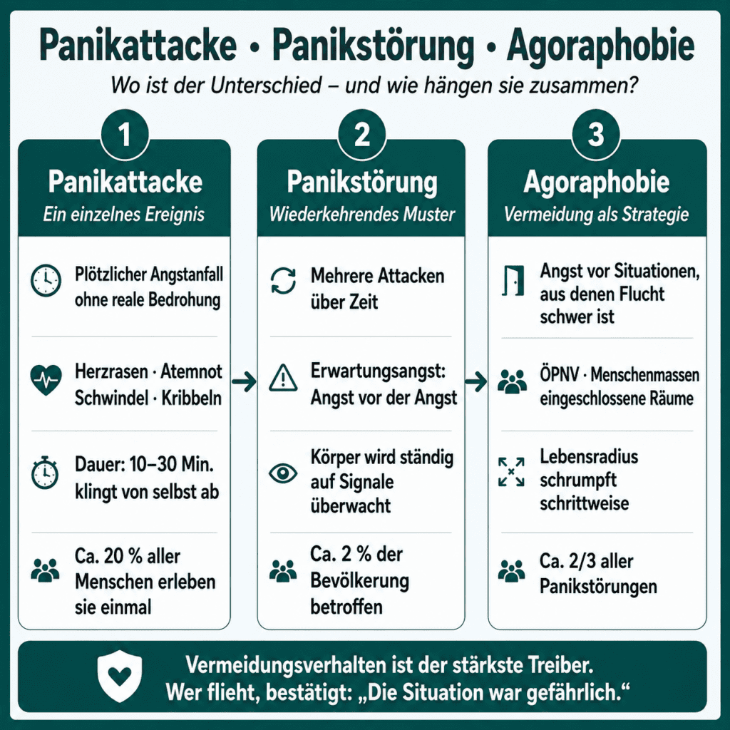 Infografik „Panikattacke, Panikstörung, Agoraphobie – wo ist der Unterschied?“: drei Spalten vom einzelnen Angstanfall über das wiederkehrende Muster mit Erwartungsangst bis zur Vermeidung als Strategie. Vermeidungsverhalten ist der stärkste Treiber.
