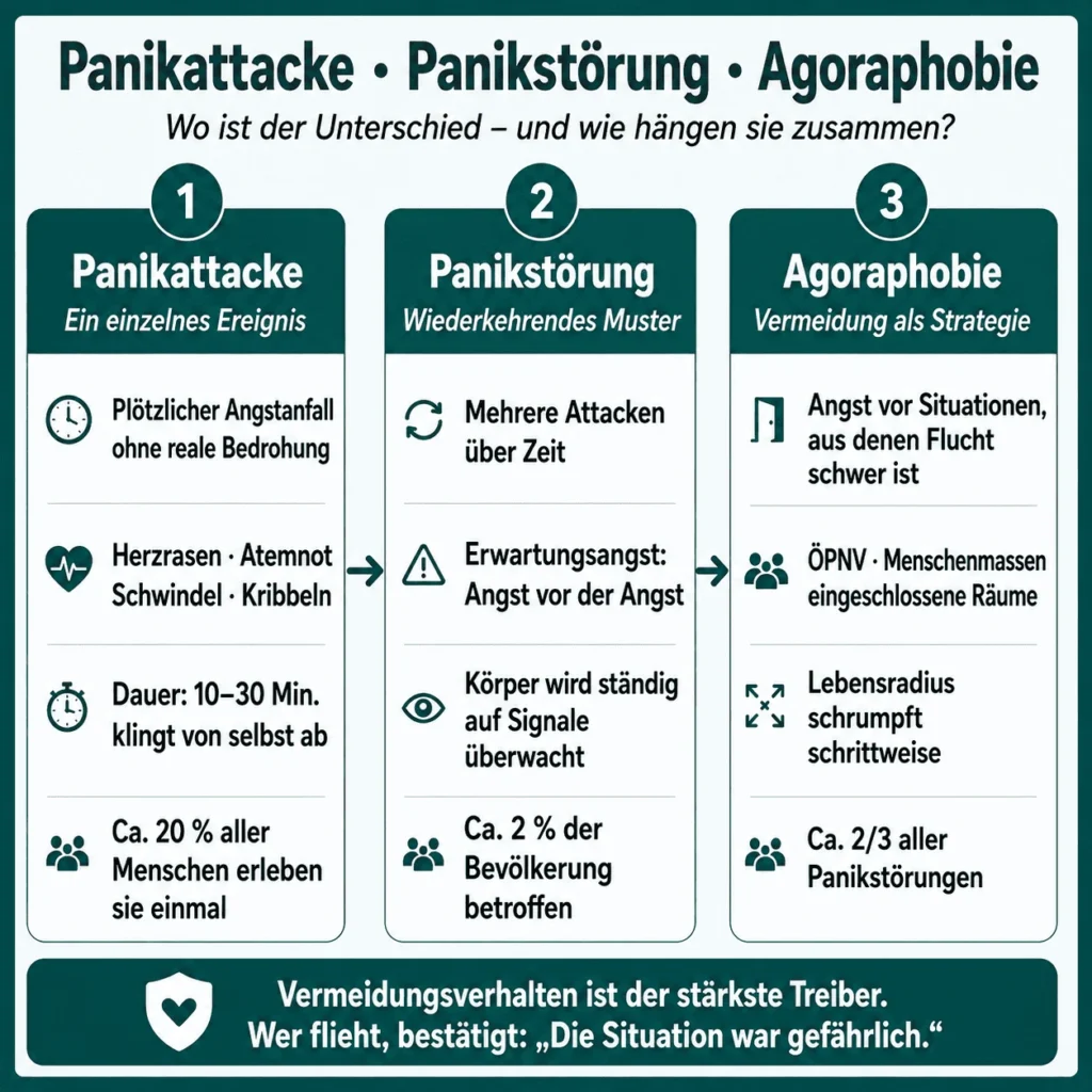 Panikattacken – Infografik „Panikattacke, Panikstörung, Agoraphobie – wo ist der Unterschied?“: drei Spalten vom einzelnen Angstanfall über das wiederkehrende Muster mit Erwartungsangst bis zur Vermeidung als Strategie. Vermeidungsverhalten ist der stärkste Treiber. – inklusive Agoraphobie mit Panikstörung