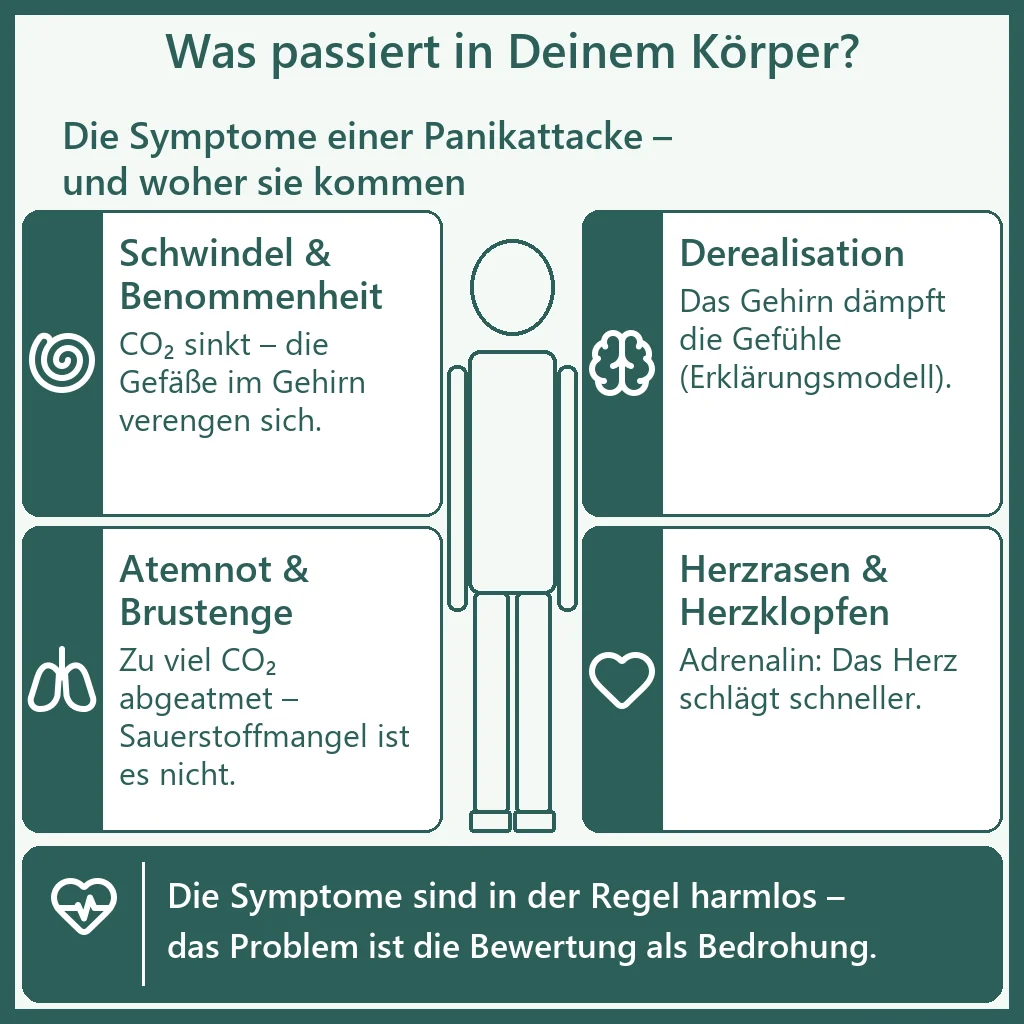 Panikattacken Symptome – Infografik Teil 1: Schwindel und Benommenheit, Derealisation, Atemnot und Brustenge sowie Herzrasen und Herzklopfen, jeweils mit ihrer Ursache im Körper.