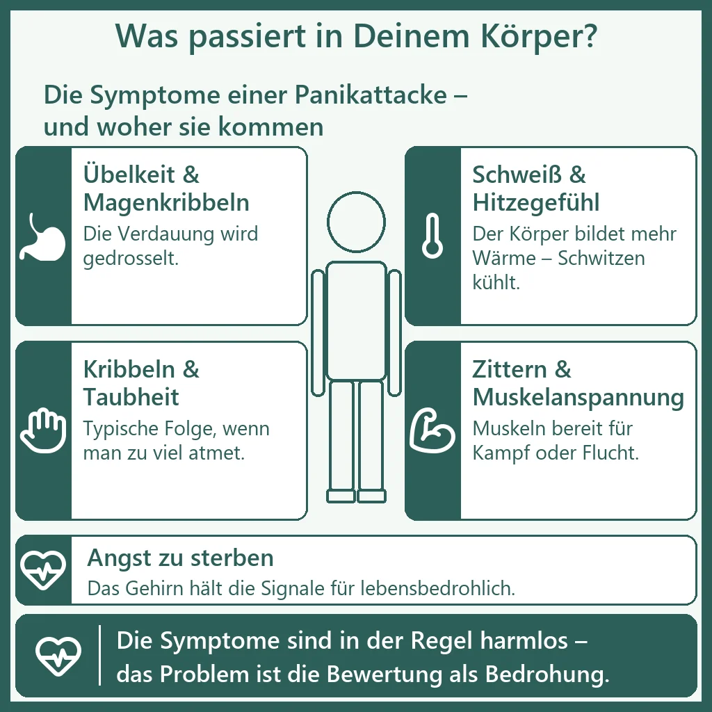 Panikattacken Symptome – Infografik Teil 2: Übelkeit, Schweiß und Hitzegefühl, Kribbeln, Zittern und die Angst zu sterben; die Symptome sind in der Regel harmlos, das Problem ist ihre Bewertung als Bedrohung.